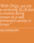 KENYA Coffea Circulor Origo Isolated SL28 Natural Hypoxia NHX