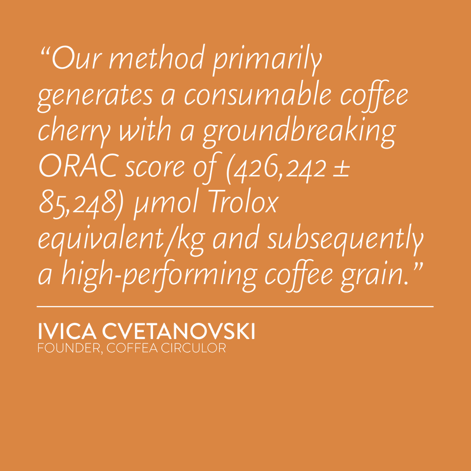 KENYA Coffea Circulor Oxyco Isolated Batian Coffee Cherry/ORAC-Centered CCX