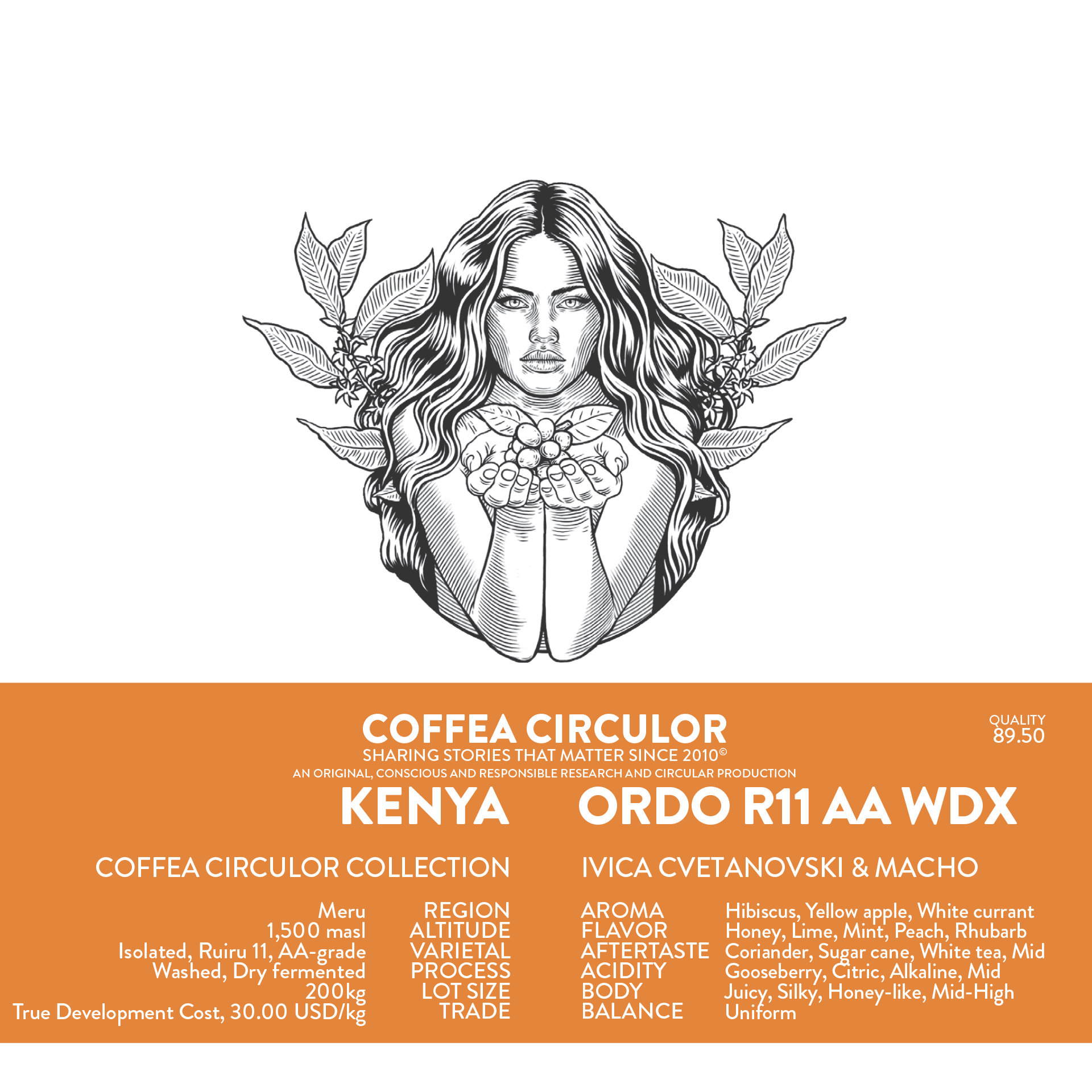 KENYA Coffea Circulor Ordo Isolated Ruiru 11 AA Washed WX