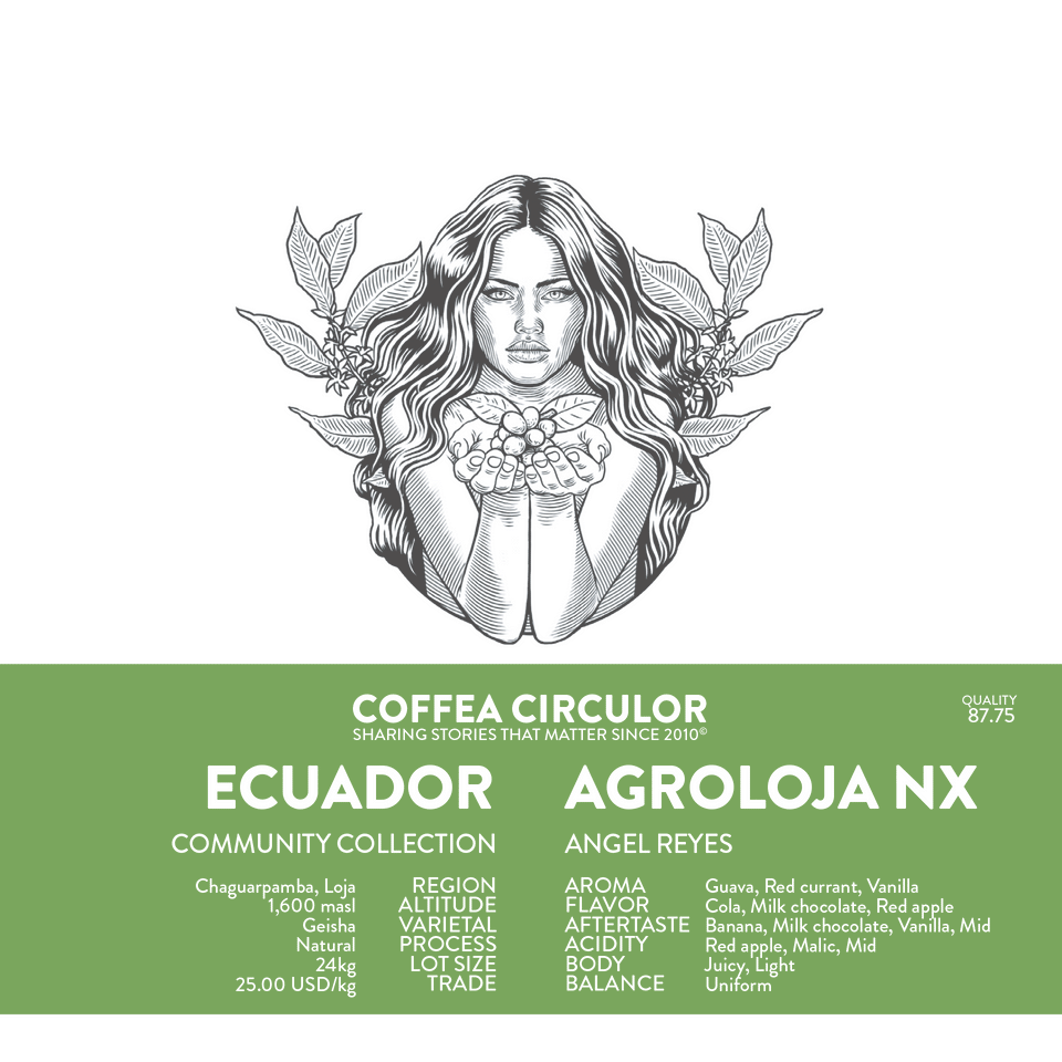 ECUADOR Agroloja Typica Mejorado Natural NX