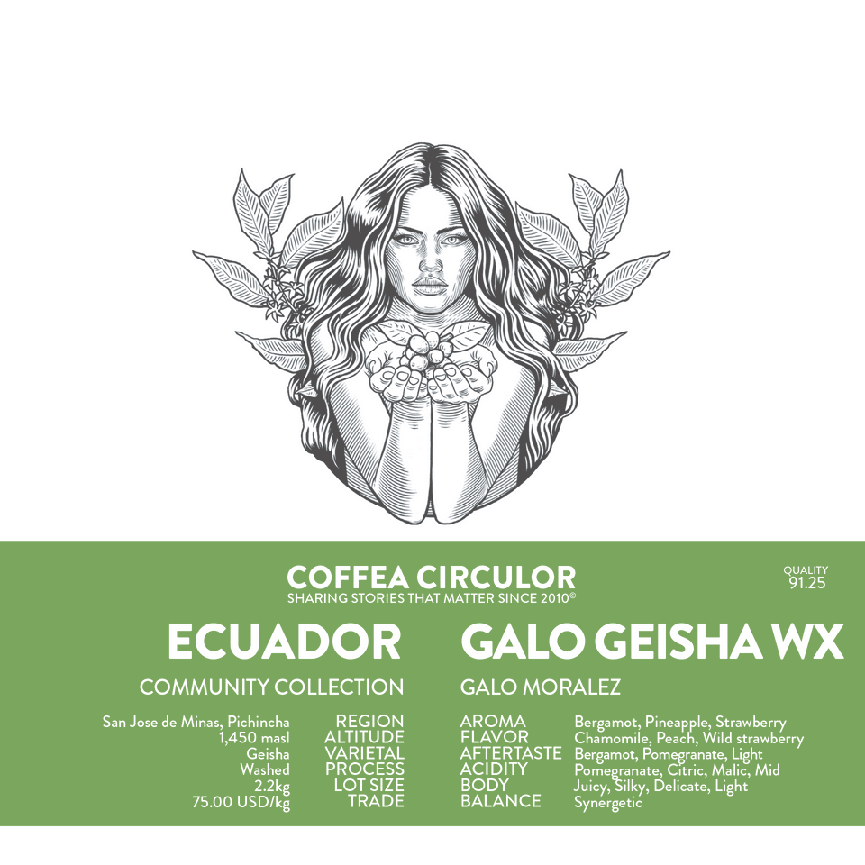 Ecuador Galo Geisha Washed WX
