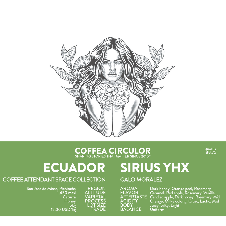 Ecuador Sirius Caturra Honey YHX