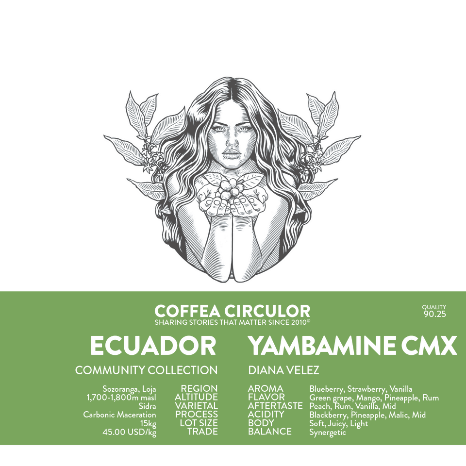 ECUADOR Yambamine Sidra Carbonic Maceration CMX