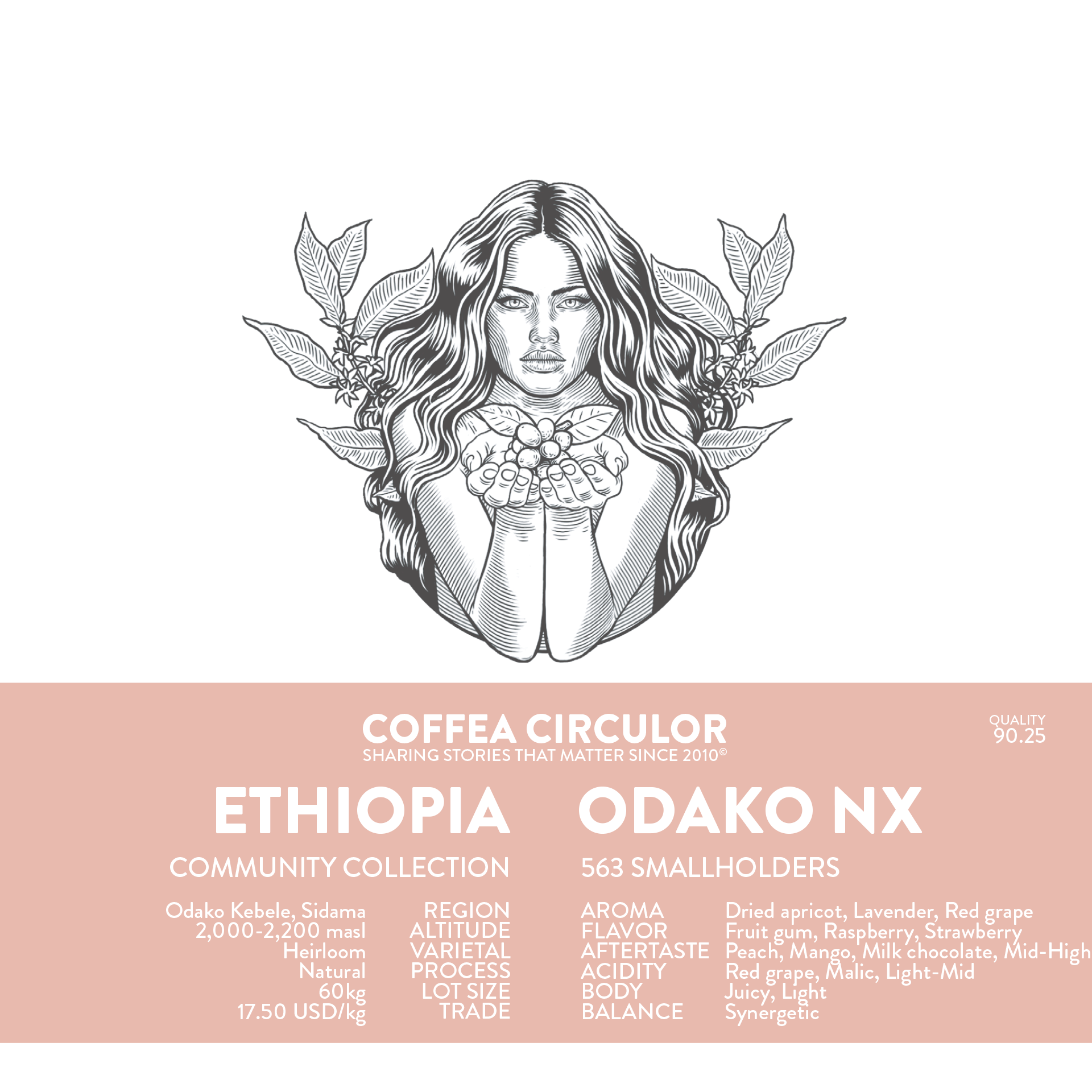 ETHIOPIA Odako Natural NX