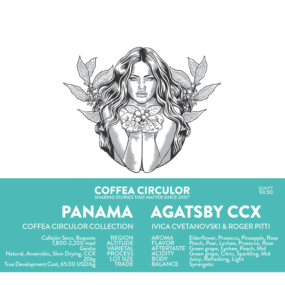 PANAMA Agatsby Geisha CCX (WCIGS Winner)