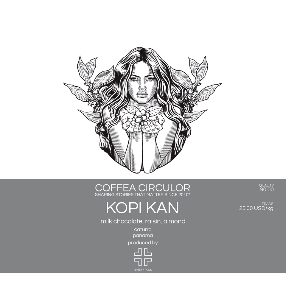 PANAMA Ninety Plus Kopi Kan Caturra